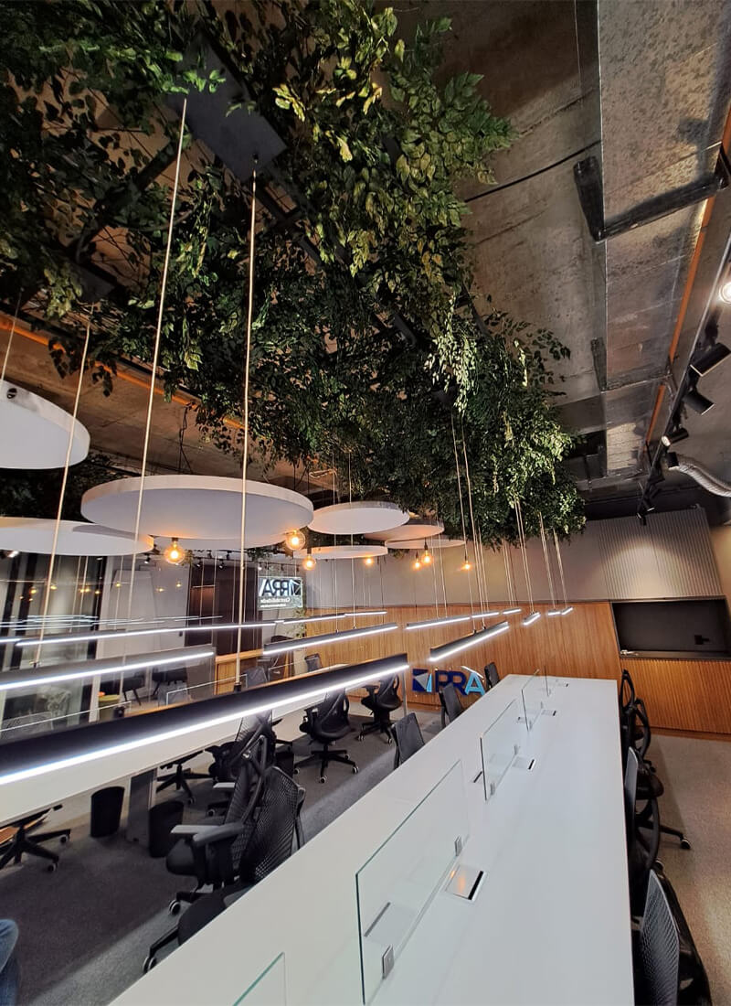 Capa Portfólio Grupo Trevisana 1100x800 0001 Sky Galeria