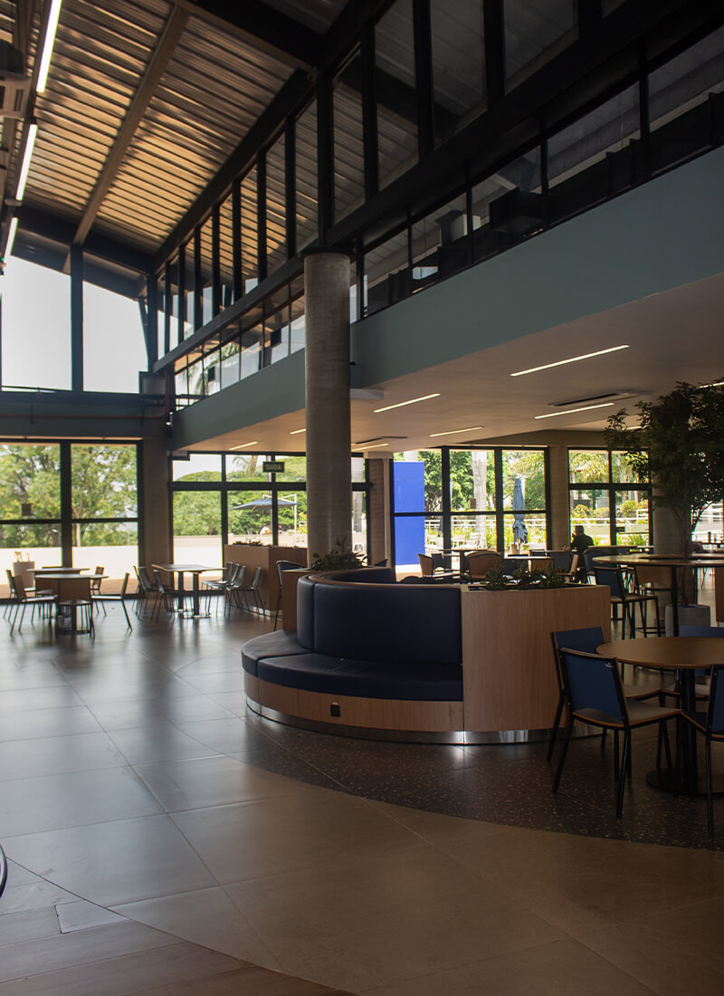 Capa Portfólio Grupo Trevisana